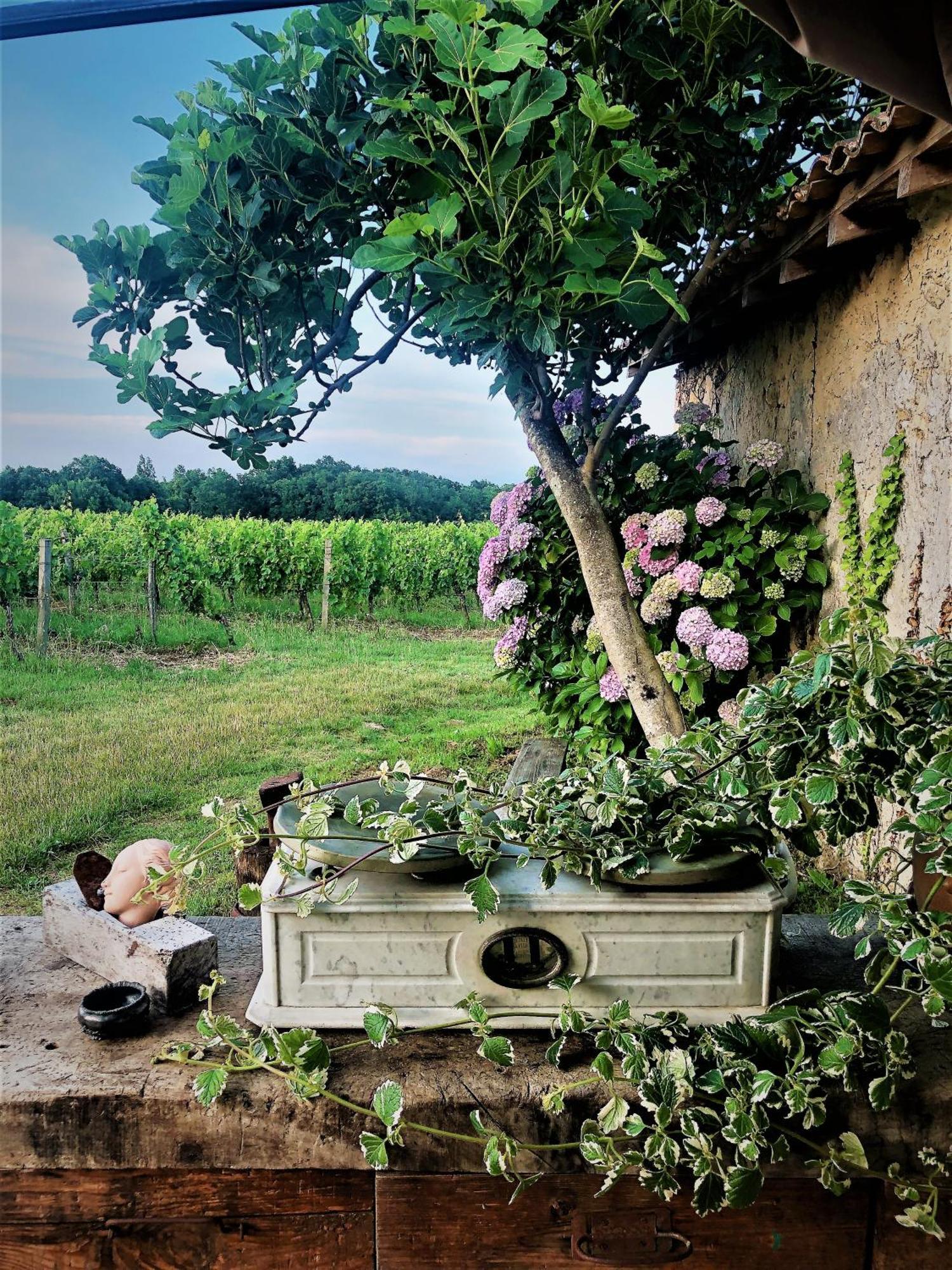 Chateau Le Truch Montussan Luaran gambar